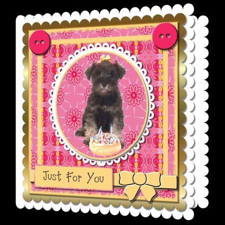 Mix'n'match - Birthday Pooch by Craft Box