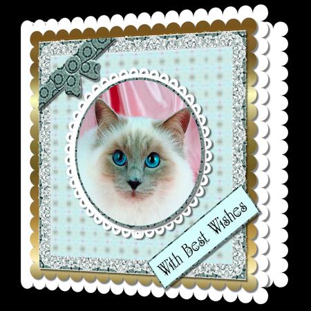 Mix'n'match - Blue Eyed Cat by Craft Box
