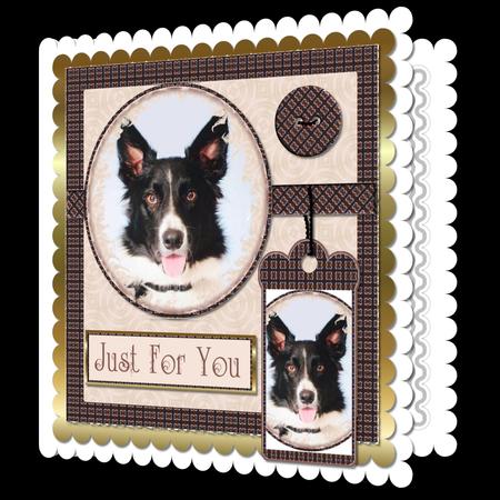 Mix'n'match - Border Collie by Craft Box