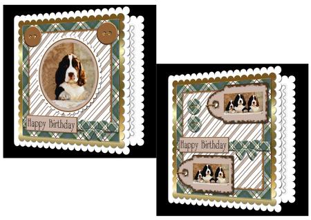 Mix'n'match - Spaniel by Craft Box