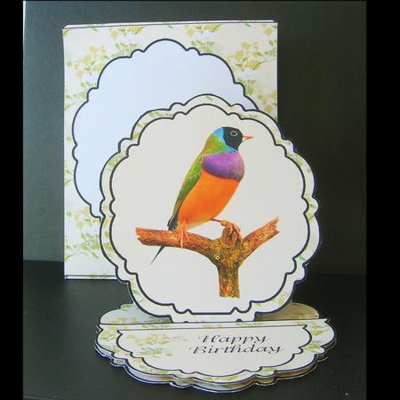 Colourful Bird Pretty Edge Easel Card Kit by Craft Box