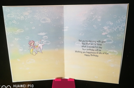 3 today dolphin insert by S.Elisabet Osborn Wright