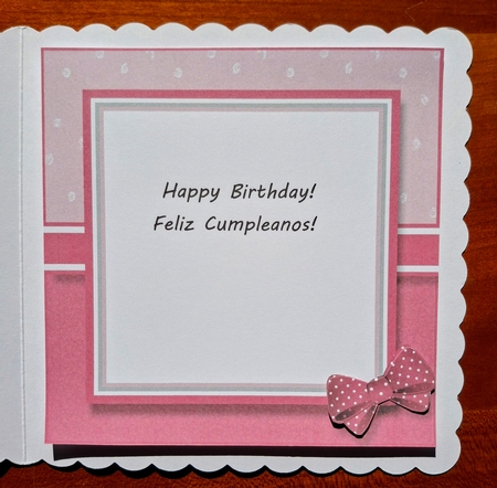 8x8 Pretty Girl Birthday Blank Insert  by S.Elisabet Osborn Wright