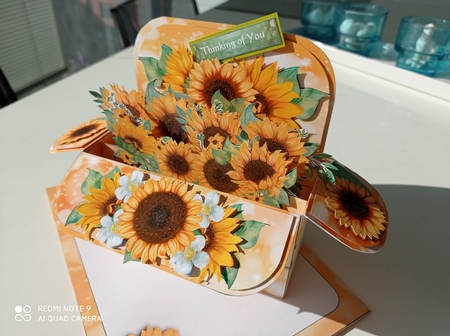 A Box full of Sunshine  - Pop Up Box  - Multi Occasion by S.Elisabet Osborn Wright