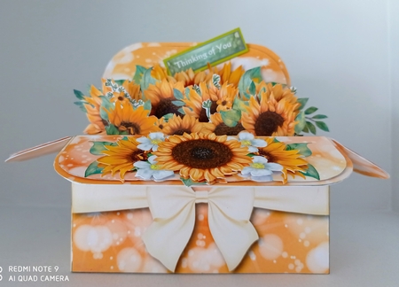 A Box full of Sunshine  - Pop Up Box  - Multi Occasion by S.Elisabet Osborn Wright