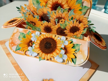 A Box full of Sunshine  - Pop Up Box  - Multi Occasion by S.Elisabet Osborn Wright