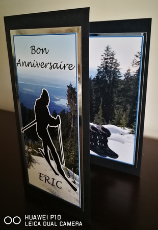 Snow Ski'ing Take a Chance 5 Leaf Card with 3D & Instructions by S.Elisabet Osborn Wright