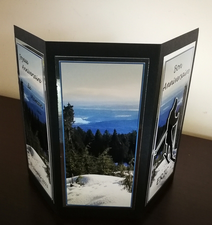 Snow Ski'ing Take a Chance 5 Leaf Card with 3D & Instructions by S.Elisabet Osborn Wright