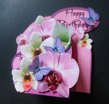 3D Box 'orchids & Butterflies' by S.Elisabet Osborn Wright