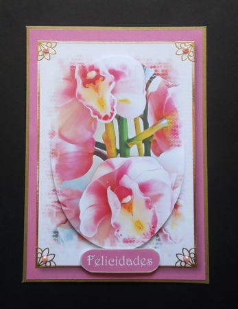 Floral Splendour - Orchids Quick Topper by S.Elisabet Osborn Wright
