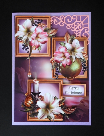 Frame Trio Christmas - Festive Amaryllis by S.Elisabet Osborn Wright