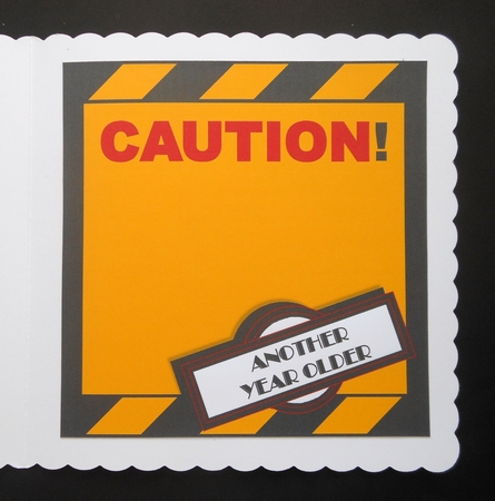 Aging in Progress Caution - Insert by S.Elisabet Osborn Wright