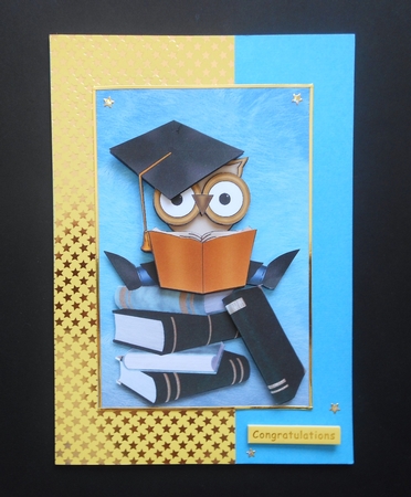 male graduation owl step by step by S.Elisabet Osborn Wright