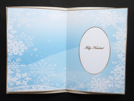 Christmas Snowflakes Insert 18 by S.Elisabet Osborn Wright