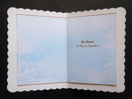 Christmas Snowflakes Insert 50 by S.Elisabet Osborn Wright