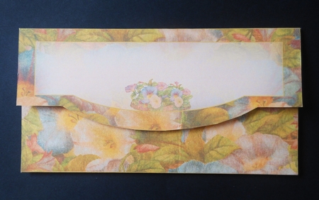 Basket of petunias Blank Cash Envelope by S.Elisabet Osborn Wright