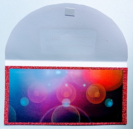 Party People Birthday Money Wallet by S.Elisabet Osborn Wright