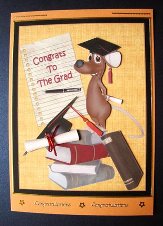 The Graduation Mouse by S.Elisabet Osborn Wright
