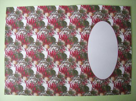 Matching Fuschia Insert by S.Elisabet Osborn Wright
