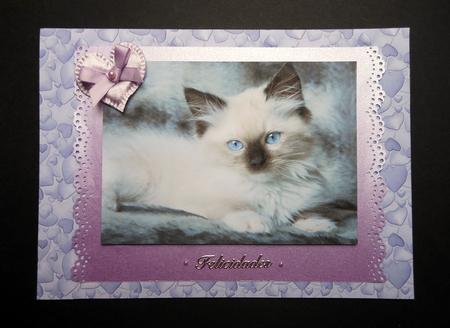 An Explosion of Love A4 Backing Paper in Blue by S.Elisabet Osborn Wright