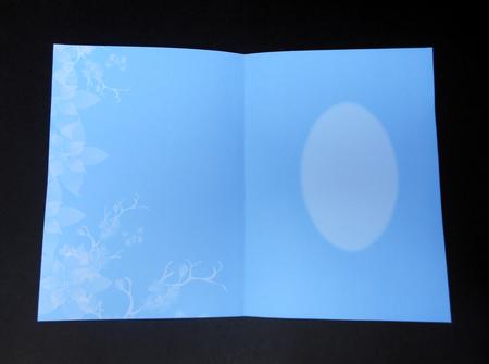 Floral Insert 2 by S.Elisabet Osborn Wright