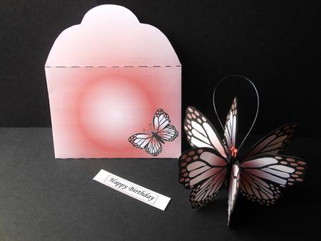 Mini 3D Butterfly a Hint of Pink Mini Kit by S.Elisabet Osborn Wright