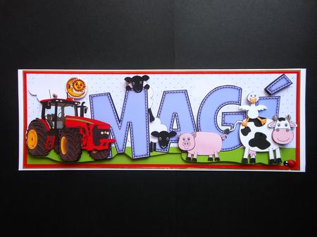 Country Life Magi Mini Kit by S.Elisabet Osborn Wright