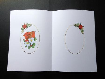 Christmas Robin and Poinsettias Snow Globe Insert by S.Elisabet Osborn Wright