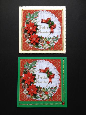 8x8 Feliz Navidad Christmas Flowers (spanish) by S.Elisabet Osborn Wright