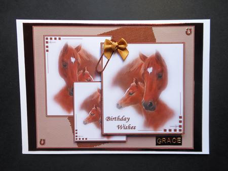 The Mare and Her Foal Birthday Wishes by S.Elisabet Osborn Wright