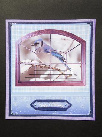 Blue Jay Through the Window by S.Elisabet Osborn Wright