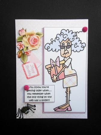Stella and the Web Quick Card by S.Elisabet Osborn Wright