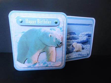 Arctic Polar Bear by S.Elisabet Osborn Wright