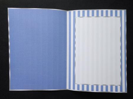 Mid Blue and White Stripe Insert, with Border by S.Elisabet Osborn Wright