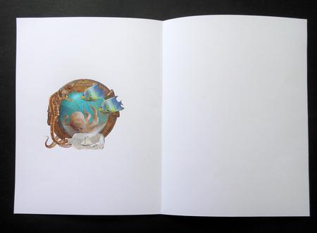 Sea Life Insert Blank by S.Elisabet Osborn Wright
