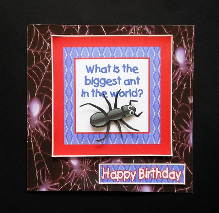 Spider Paper by S.Elisabet Osborn Wright