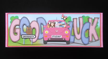 Good Luck at University (female) Large Dl by S.Elisabet Osborn Wright