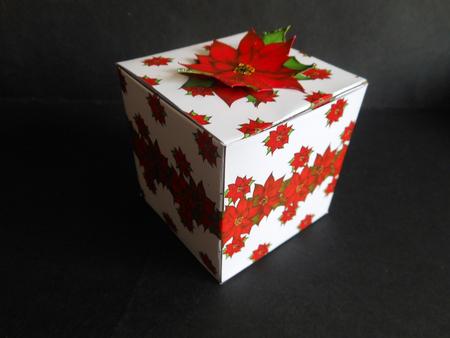 All in One Gift Box - Only Poinsettias by S.Elisabet Osborn Wright