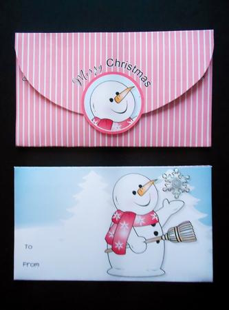 Chilly with Snowflake Christmas Money Wallet by S.Elisabet Osborn Wright