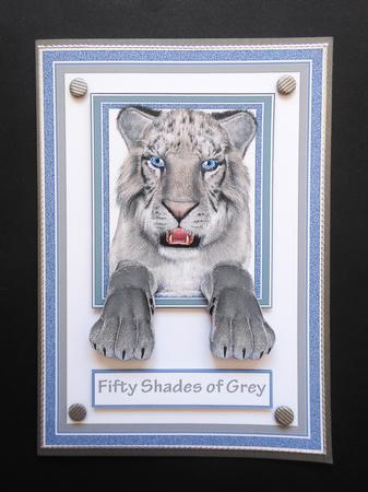Fifty Shades of Grey Tiger by S.Elisabet Osborn Wright