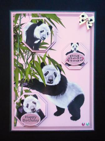 Multi Use Panda Card by S.Elisabet Osborn Wright