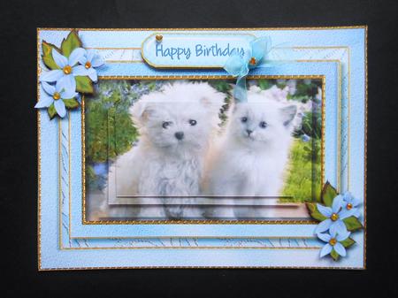 Gorgeous Friends Forever by S.Elisabet Osborn Wright