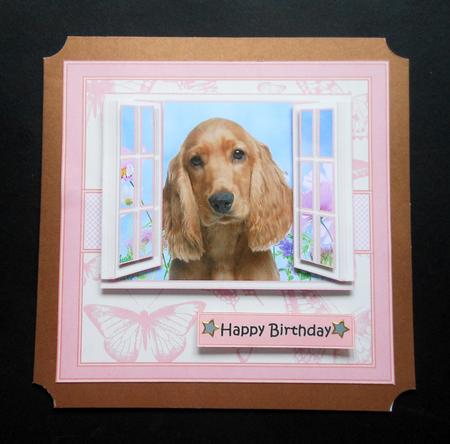 Cocker Spaniel Puppy in the Window by S.Elisabet Osborn Wright