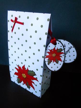 3D Xmas Poinsettia Gift Box Mini Kit by S.Elisabet Osborn Wright