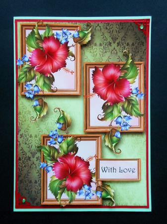 Red Hibiscus Frame Trio by S.Elisabet Osborn Wright