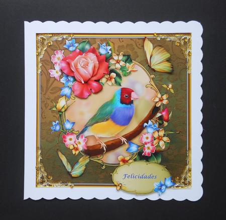 Gouldian Finch Card Front 8x8 by S.Elisabet Osborn Wright