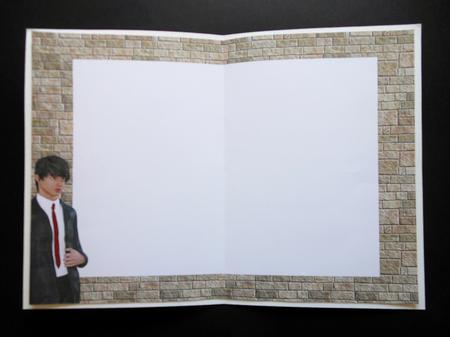 Teen Boy 22 Insert by S.Elisabet Osborn Wright