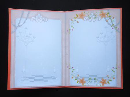 Fashionista! in Orange Insert by S.Elisabet Osborn Wright