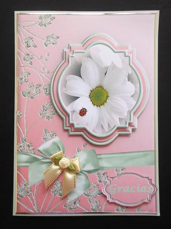 Ladybird Flower Get Well or Thank You Card by S.Elisabet Osborn Wright
