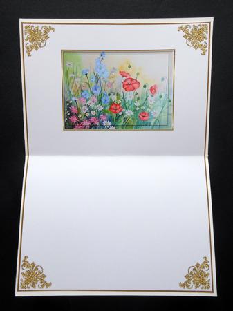 A Field of Flowers Insert 1 by S.Elisabet Osborn Wright